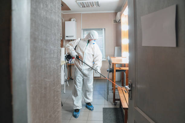 Best Crawl Space Mold Remediation  in Pelham, GA