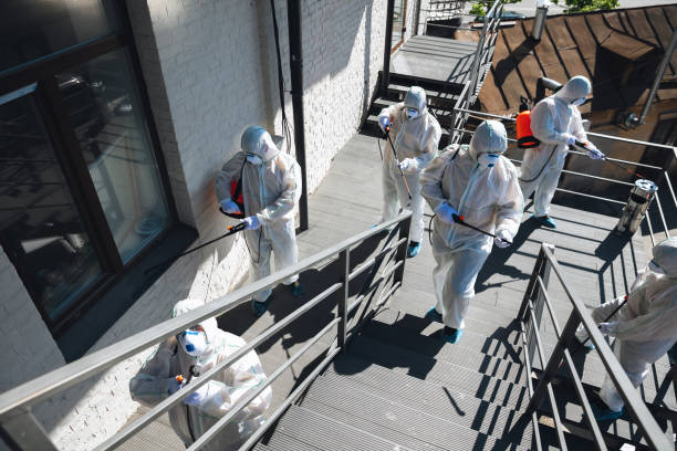 Trusted Pelham, GA Mold Removal Experts